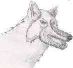 disegnato da Rupa